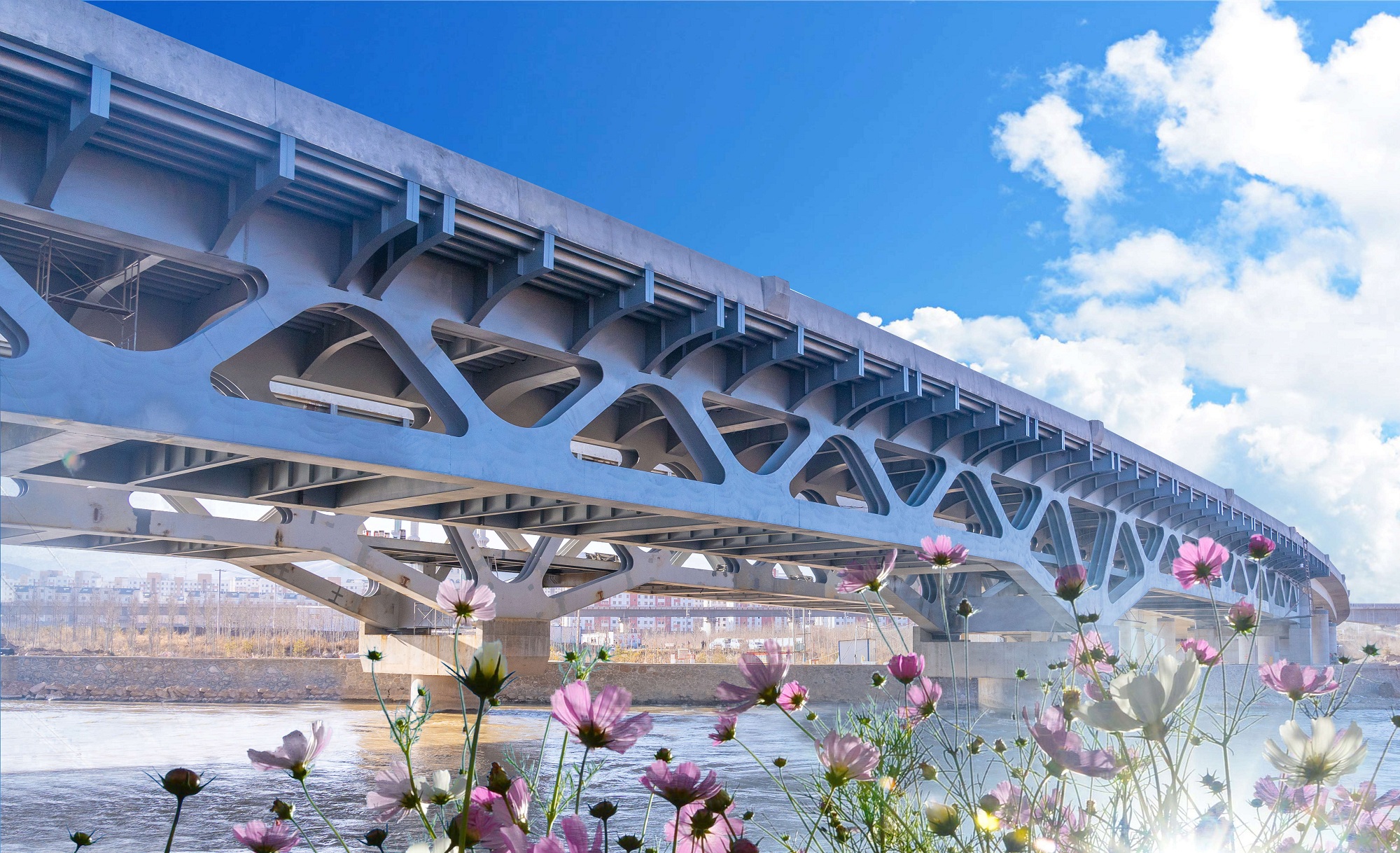 20210222120080.jpg 大橋主體欣賞3_副本.jpg